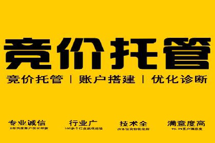 SEM竞价专员实战技巧：案例分析